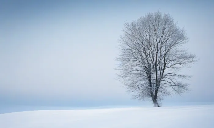 Kostel Slezské církve evangelické – winter