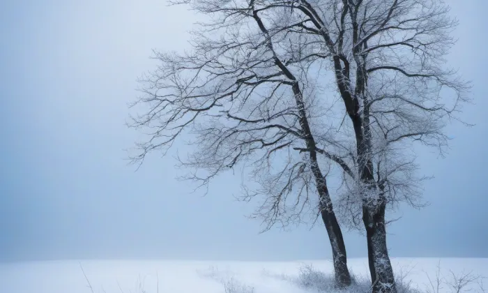 kostel Stětí svatého Jana Křtitele (Cvrčovice) – winter