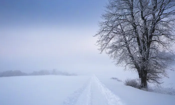 kostel sv. Vavřince – winter