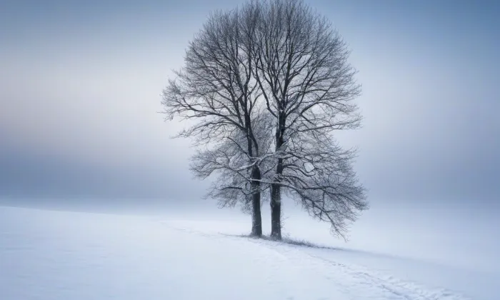 Kostel svaté Alžběty (Třeboň II) – winter