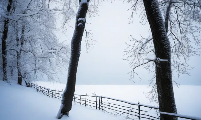 kostel svaté Alžběty Uherské ve Cvikově – winter