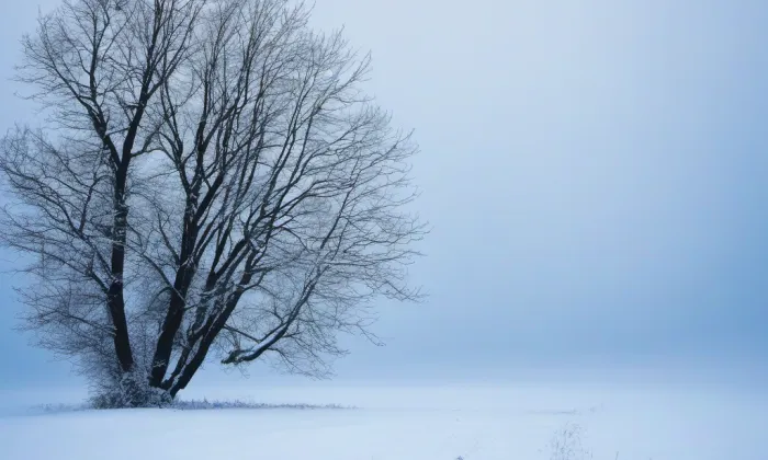 Kostel svaté Anežky České (Drnovice) – winter