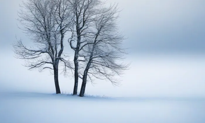 Kostel svaté Anny (Blatno) – winter