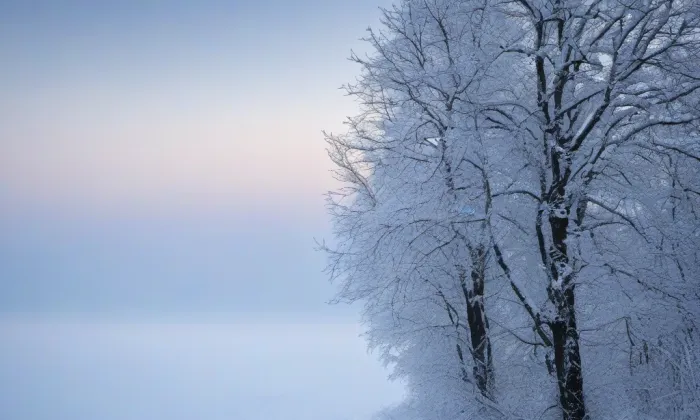 kostel svaté Anny (Boršov) – winter