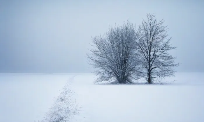 Kostel svaté Anny (Město) – winter