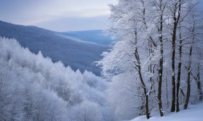 Kostel svaté Anny (Polanka nad Odrou) – winter