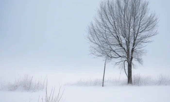 kostel svaté Anny a svatého Jakuba Většího – winter