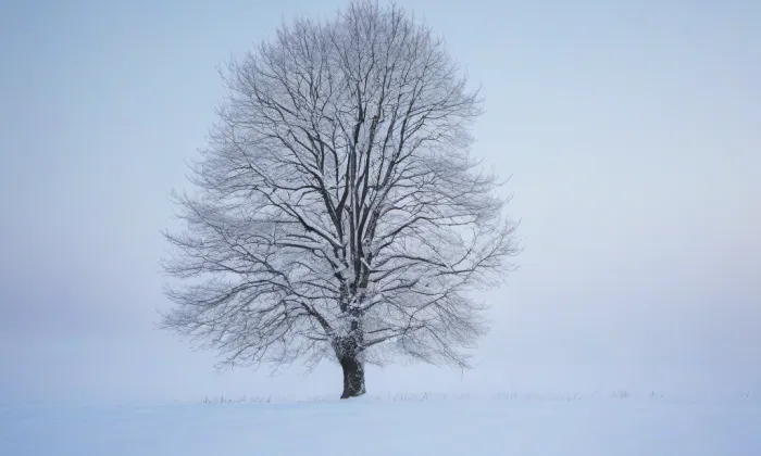 Kostel svaté Barbory (Hrob) – winter