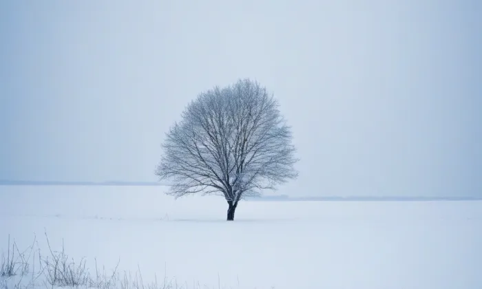 Kostel svaté Hedviky – winter