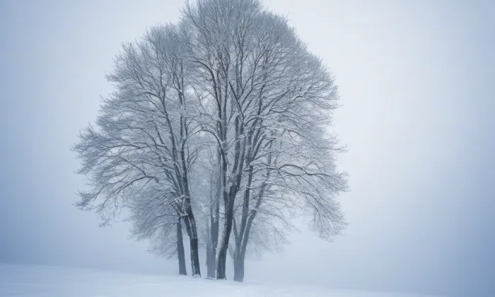 kostel svaté Kateřiny (Choteč) – winter