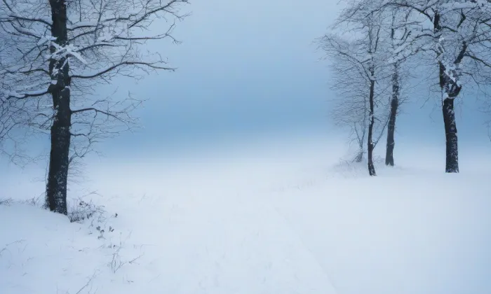 Kostel svaté Kateřiny (Chouč) – winter