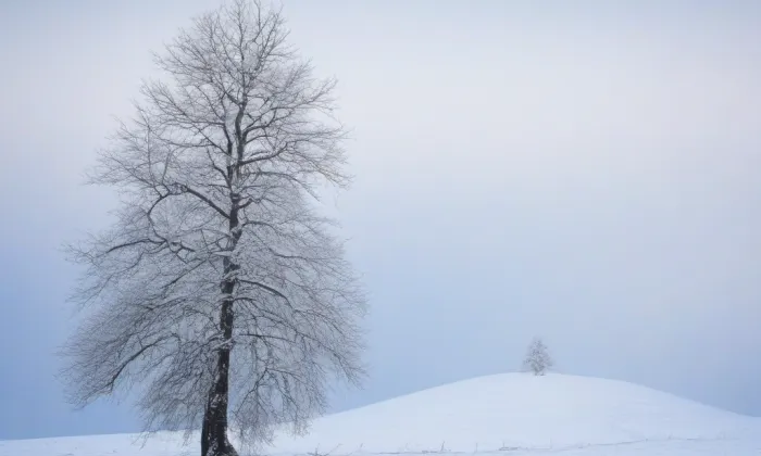 Kostel svaté Kateřiny (Chrudim III) – winter