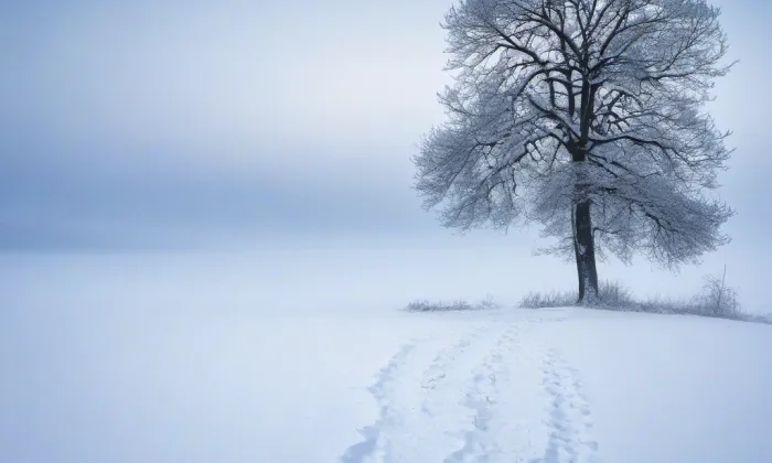kostel svaté Kateřiny (Horní Roveň) – winter