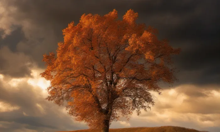 Kostel svaté Kateřiny (Krásno) – autumn