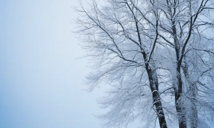 Kostel svaté Kateřiny (Krásno) – winter