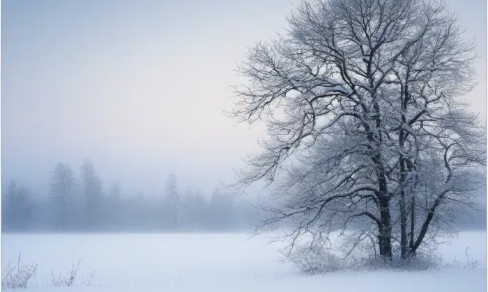 Kostel svaté Kateřiny (Obora) – winter