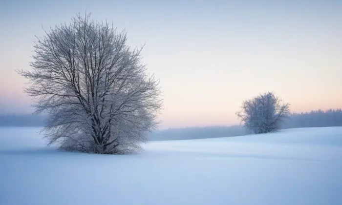 Kostel svaté Kateřiny (Polná) – winter