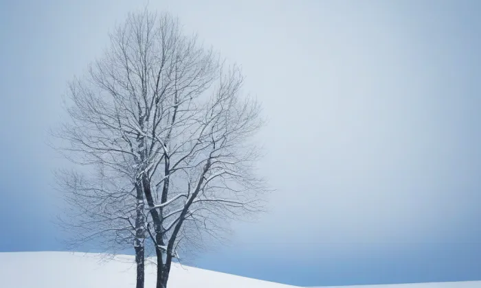 kostel svaté Kateřiny (Slavíkovice) – winter