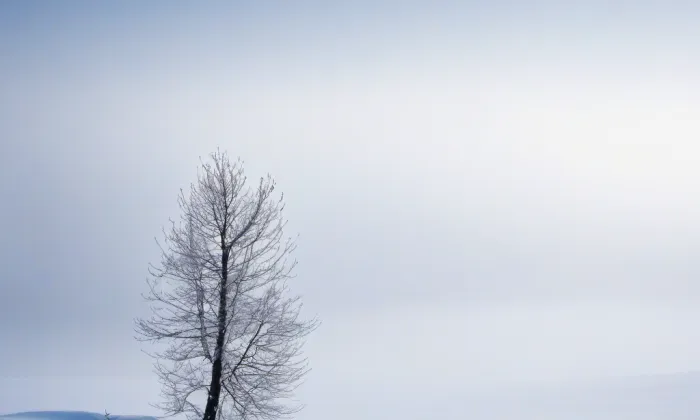 Kostel svaté Kateřiny (Stránské) – winter