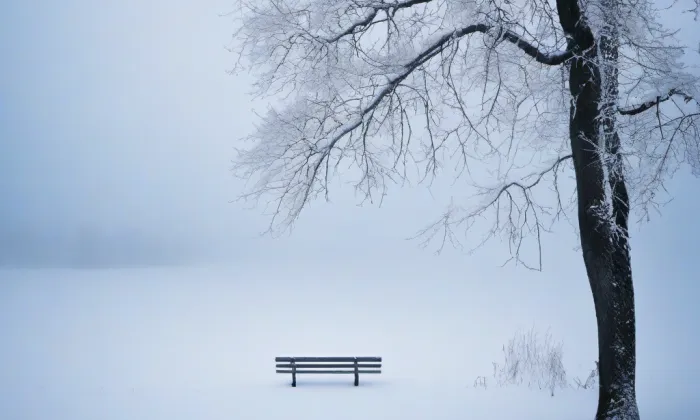 kostel svaté Kateřiny (Vilémov) – winter