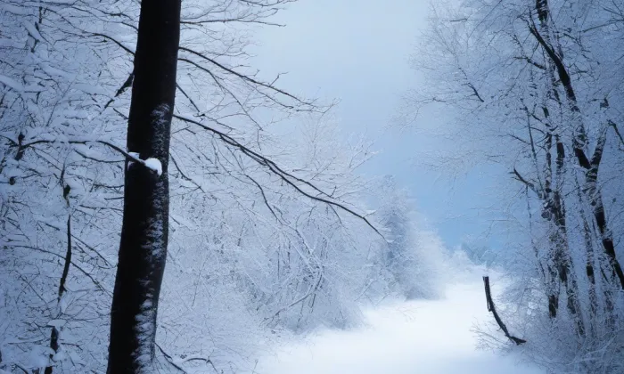 kostel svaté Kateřiny (Znojmo) – winter
