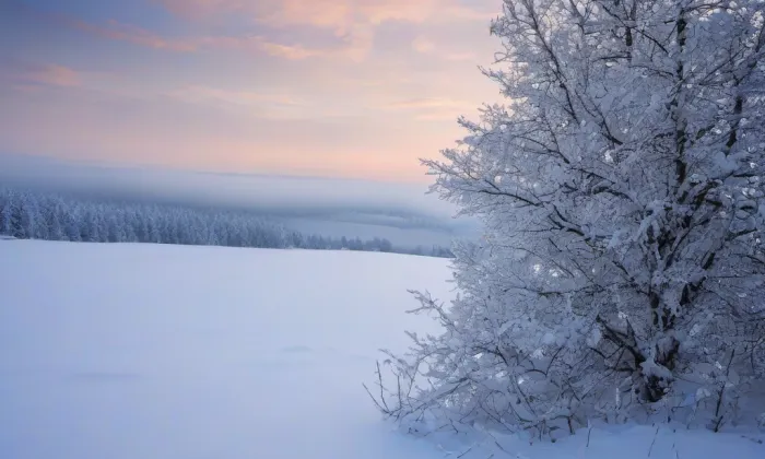 Kostel svaté Kateřiny Alexandrijské (Volary) – winter