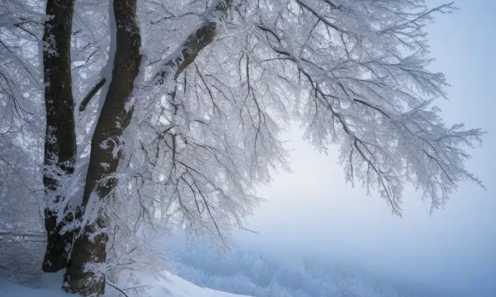 kostel svaté Kateřiny Alexandrijské ve Stráži nad Nisou – winter