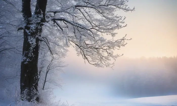 Kostel svaté Kunhuty (Královské Poříčí) – winter