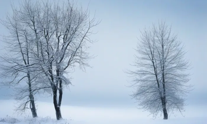 kostel svaté Kunhuty (Nížkovice) – winter