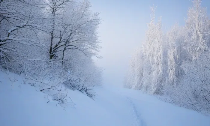 kostel svaté Kunhuty (Zábrdovice) – winter