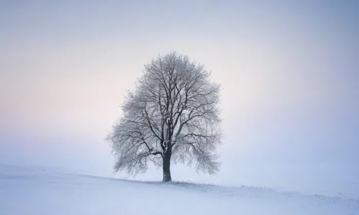 kostel svaté Máří Magdalény (Včelákov) – winter