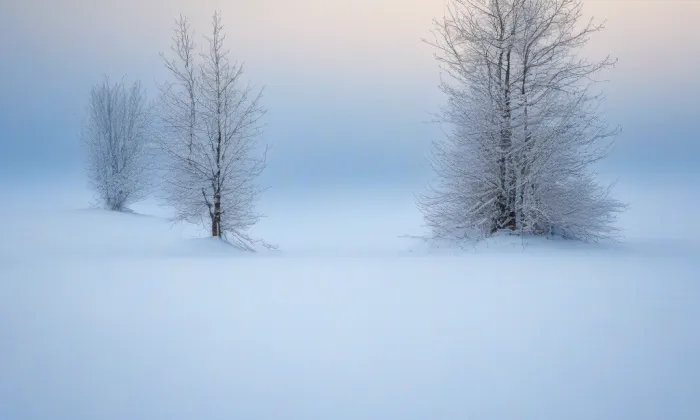 kostel svaté Máří Magdaleny (Lužany) – winter