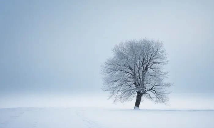 Kostel svaté Maří Magdalény (Bílenec) – winter