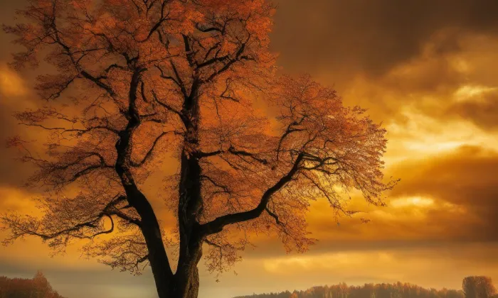 kostel svaté Maří Magdalény (Dolní Cerekev) – autumn
