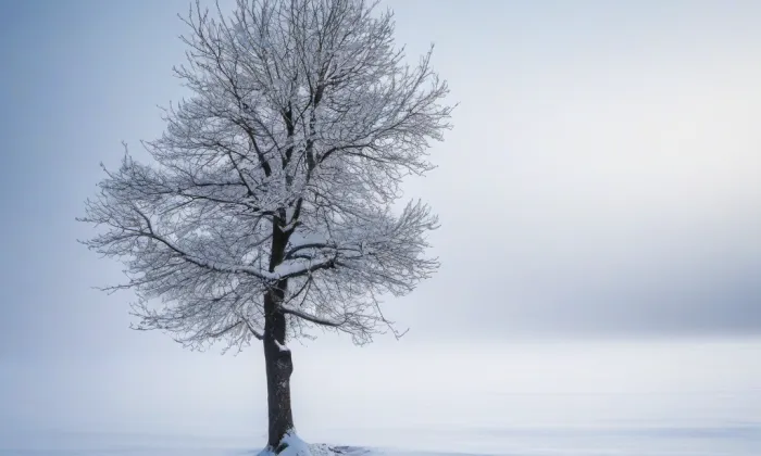 kostel svaté Maří Magdalény (Dolní Cerekev) – winter
