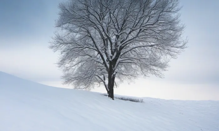 kostel svaté Maří Magdalény (Lančov) – winter