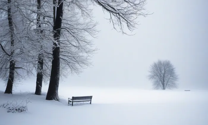 Kostel svaté Maří Magdalény (Malý Bor) – winter