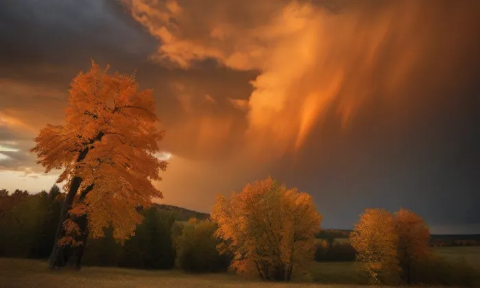 kostel svaté Maří Magdalény (Olešná) – autumn