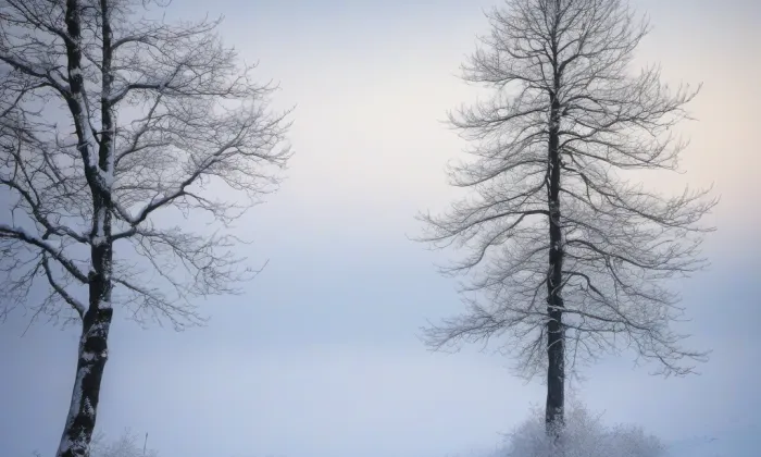 kostel svaté Maří Magdalény (Olešná) – winter