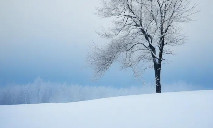 kostel svaté Maří Magdalény (Ostrov u Macochy) – winter