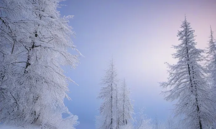 kostel svaté Markéty (Dolní Bobrová) – winter