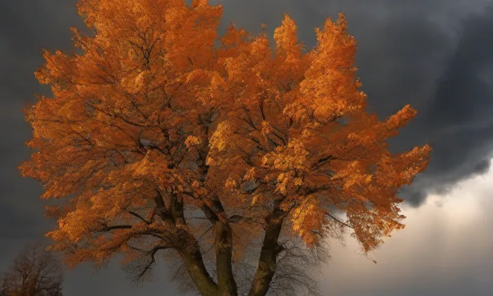 kostel svaté Markéty (Loděnice) – autumn