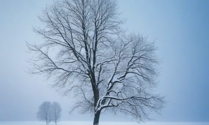 kostel svaté Markéty (Loděnice) – winter