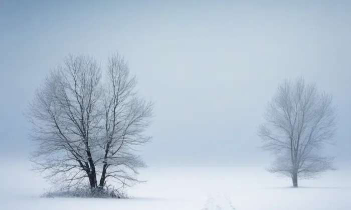 kostel svaté Markéty (Moravské Knínice) – winter