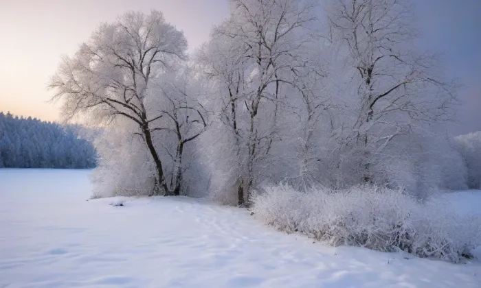 Kostel svaté Voršily (Kynšperk nad Ohří) – winter