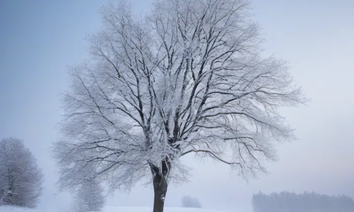 Kostel svatých Andělů strážných (Vidochov) – winter