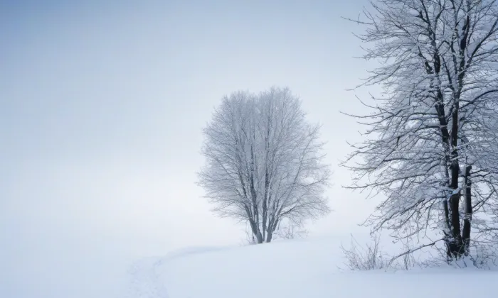 Kostel svatých Filipa a Jakuba (Šumavské Hoštice) – winter