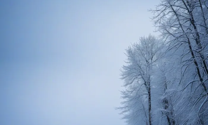 kostel svatých Petra a Pavla (Dolní Lukavice) – winter