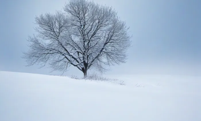 Kostel svatých Petra a Pavla (Jirny) – winter