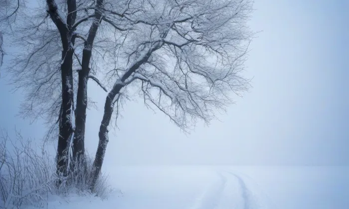 Kostel svatých Petra a Pavla (Volenice) – winter
